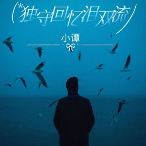 Listen to 独守回忆泪双流 (伴奏) song with lyrics from 小谭