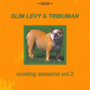 Listen to Juicy Burger song with lyrics from Slim Levy & Tribuman