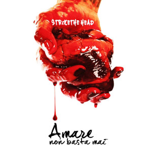 ดาวน์โหลดและฟังเพลง Un Passo Indietro พร้อมเนื้อเพลงจาก Strike The Head