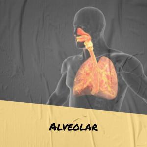 Listen to Superfecundation Hot song with lyrics from Ledio Rual
