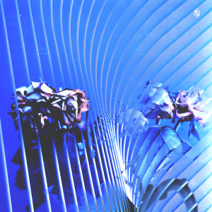 收聽Nosaint的Dead Flowers歌詞歌曲