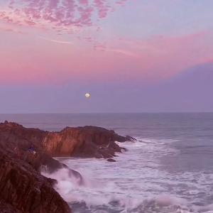 ziyon jayden的專輯OCEAN CITY