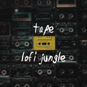 收聽LOFI JUNGLE的hoops歌詞歌曲