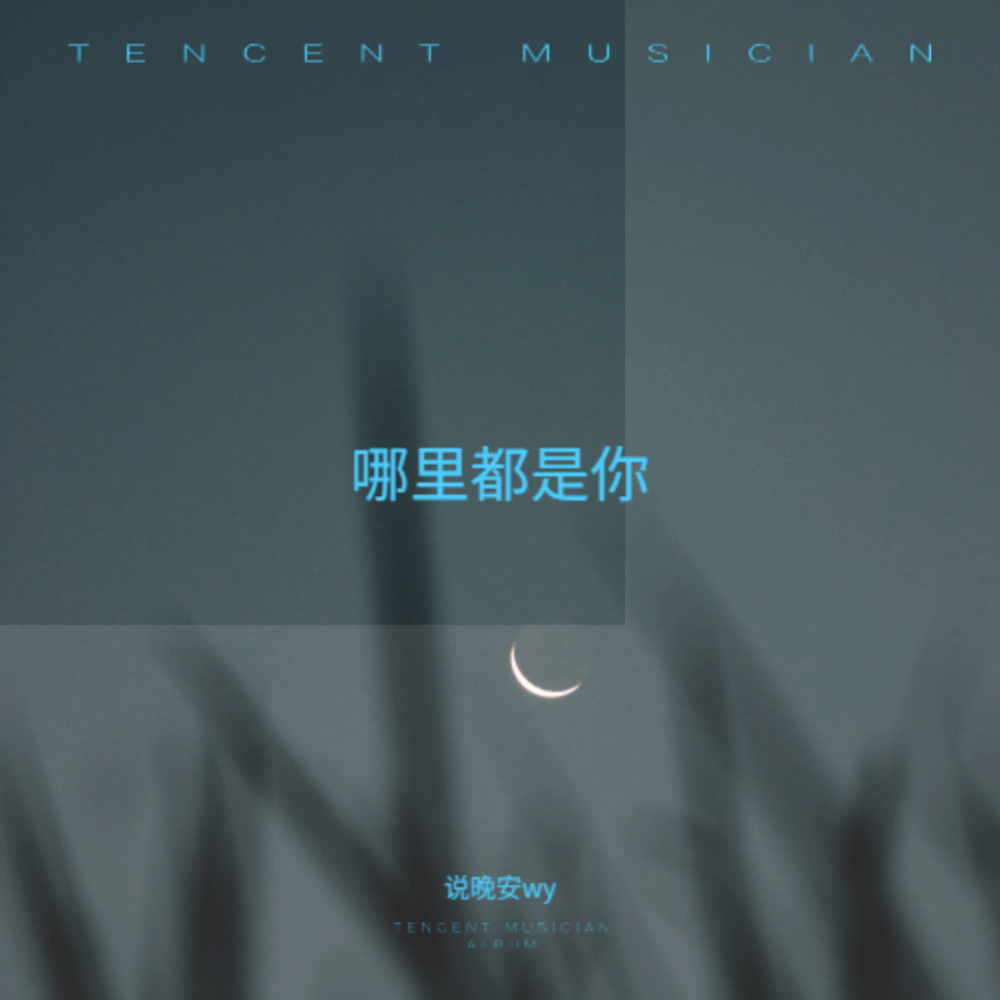 哪里都是你 (古筝版) (翻奏: 沈波) (完整版)
