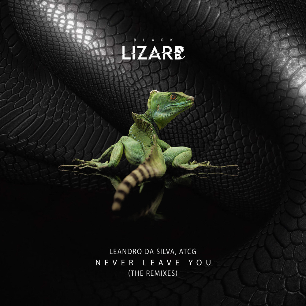 Never Leave You (Uh Oh) (GLN Remix)