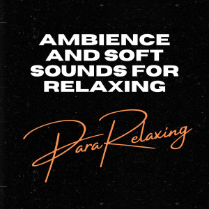 Album Ambience and Soft Sounds For Relaxing oleh Relax Meditation Sleep