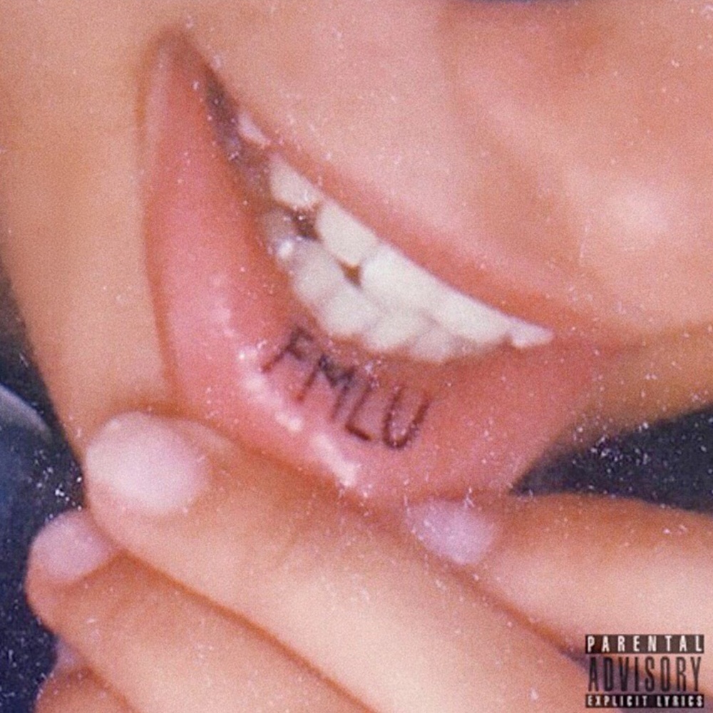 FMLU (Radio Edit)