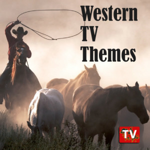 ดาวน์โหลดและฟังเพลง Maverick พร้อมเนื้อเพลงจาก The TV Theme Players
