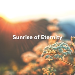 Album Sunrise of Eternity oleh Deep Relaxation Meditation Academy