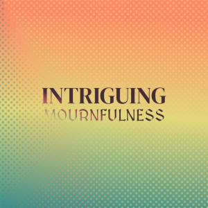 Album Intriguing Mournfulness oleh Various