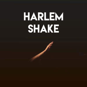 CDM Project的專輯Harlem Shake