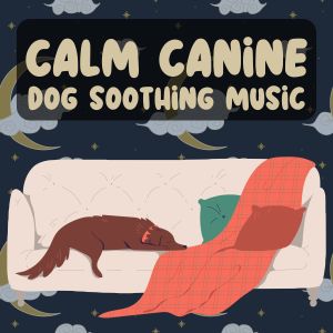 Listen to Calm Canine Dog Soothing Music, Pt. 4 song with lyrics from Calming For Dogs