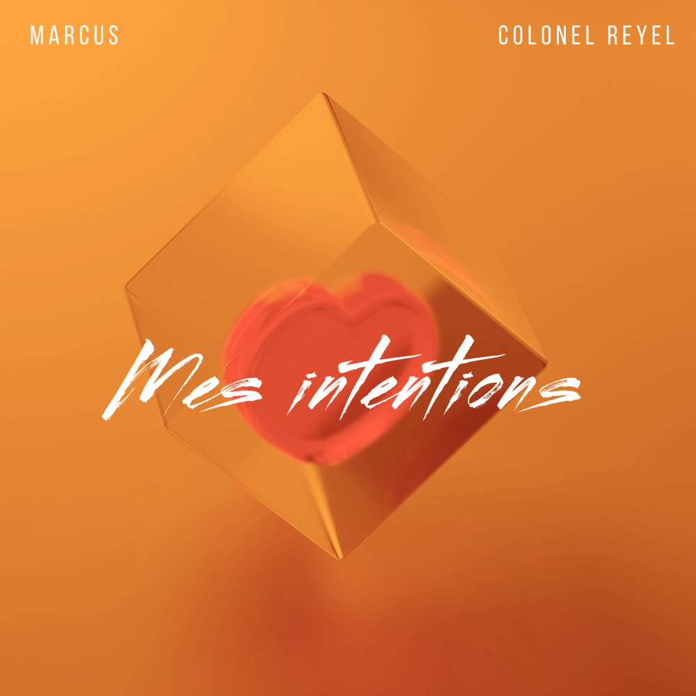 Mes intentions