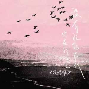 Listen to 没有谁能取代你在我心上 (说唱版) song with lyrics from Zzh