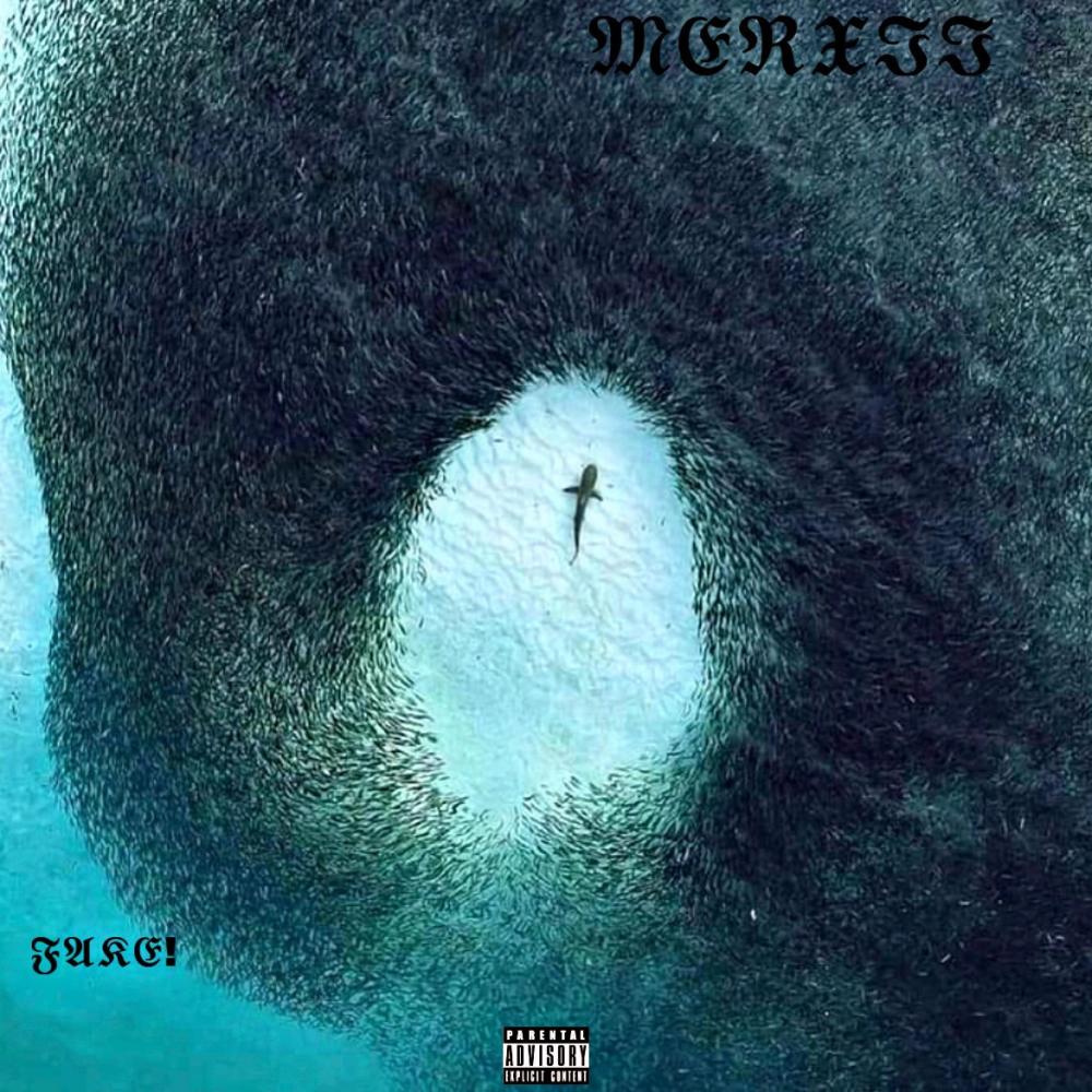Fake! (Explicit)