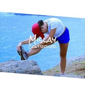 Album Mislay Controller from Various