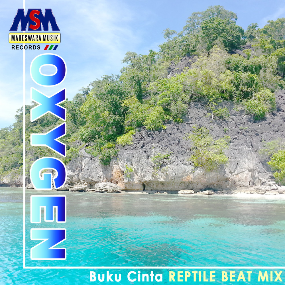 Buku Cinta (Beat Mix)