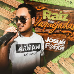 Listen to Falei de Amor song with lyrics from Josué Bom de Faixa
