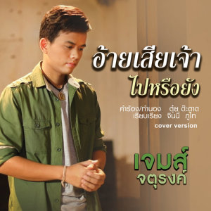 ดาวน์โหลดและฟังเพลง อ้ายเสียเจ้าไปหรือยัง (Cover) พร้อมเนื้อเพลงจาก เจมส์ จตุรงค์