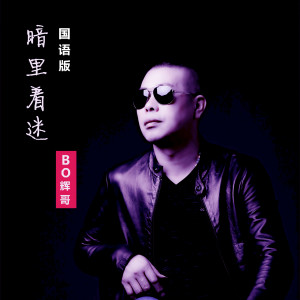 收听辉哥的暗里着迷 (国语版)歌词歌曲