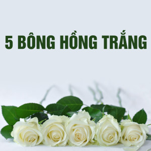 Various Artists的專輯Năm Bông Hồng Trắng