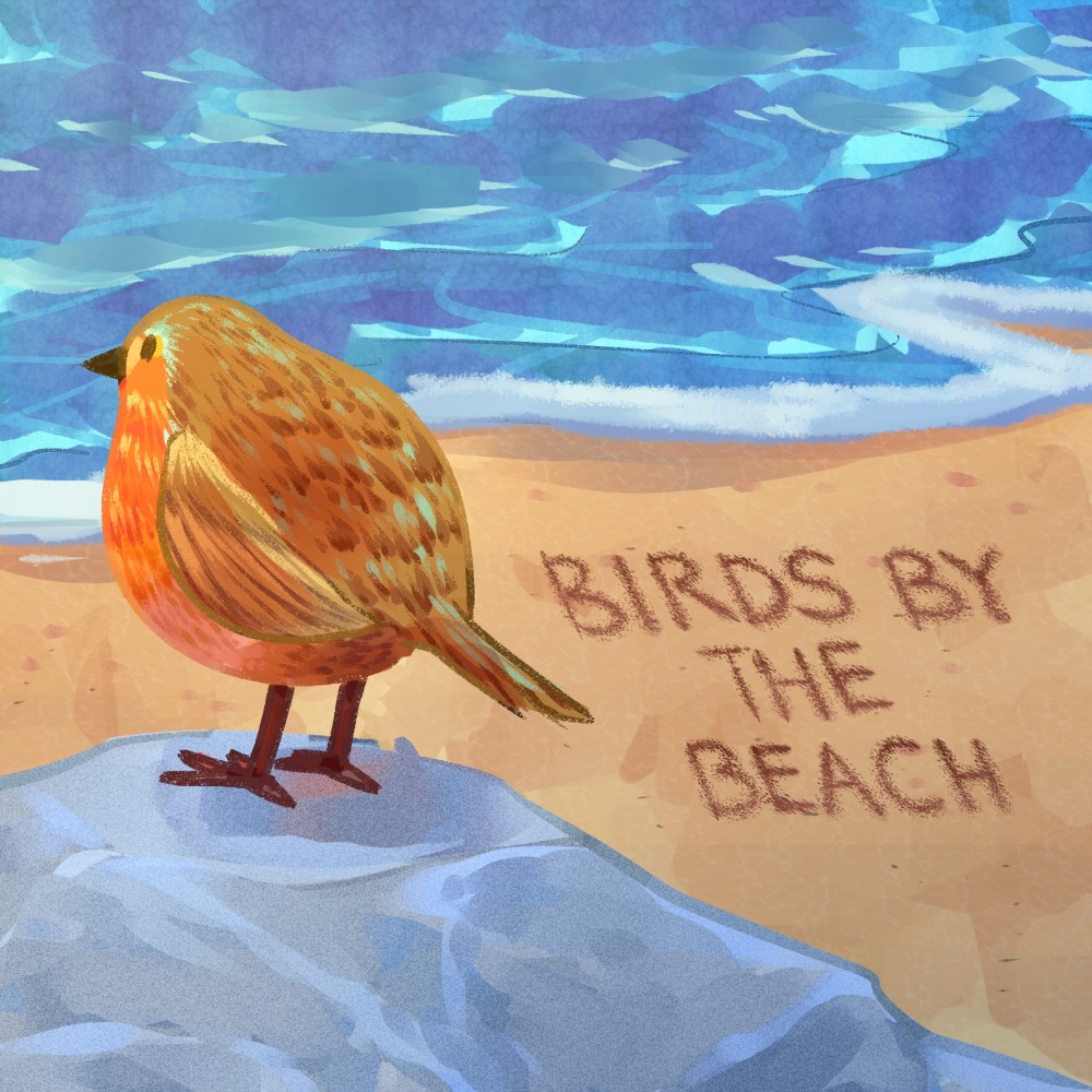 Birds by the Beach
