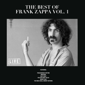 收听Frank Zappa的Montana (Live)歌词歌曲