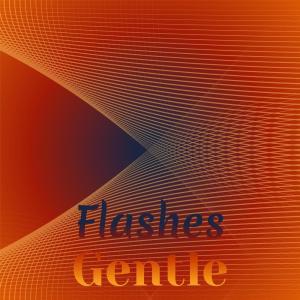 Album Flashes Gentle oleh Various