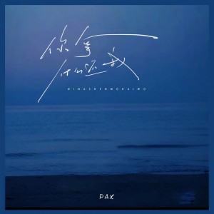 Album 你拿什么还我 from PAX