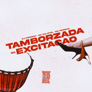 收聽DJ Fonseca的Tamborzada da Excitação (Explicit)歌詞歌曲