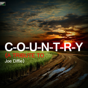 ดาวน์โหลดและฟังเพลง C-O-U-n-T-R-Y (A Tribute to Joe Diffie) พร้อมเนื้อเพลงจาก Ameritz Tribute Standards