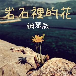 ดาวน์โหลดและฟังเพลง 岩石裡的花 (鋼琴版) พร้อมเนื้อเพลงจาก JESSE T