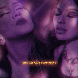 收聽Cammie的Esse Som Não é de Desapego歌詞歌曲