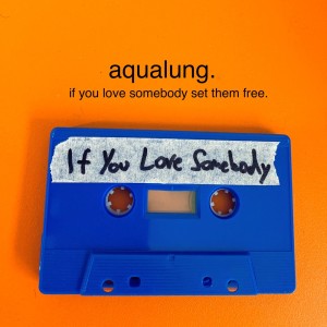 Album If You Love Somebody Set Them Free from Aqualung