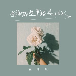 Listen to 感谢那些半路离开的人 (DJ版伴奏) song with lyrics from 安儿陈