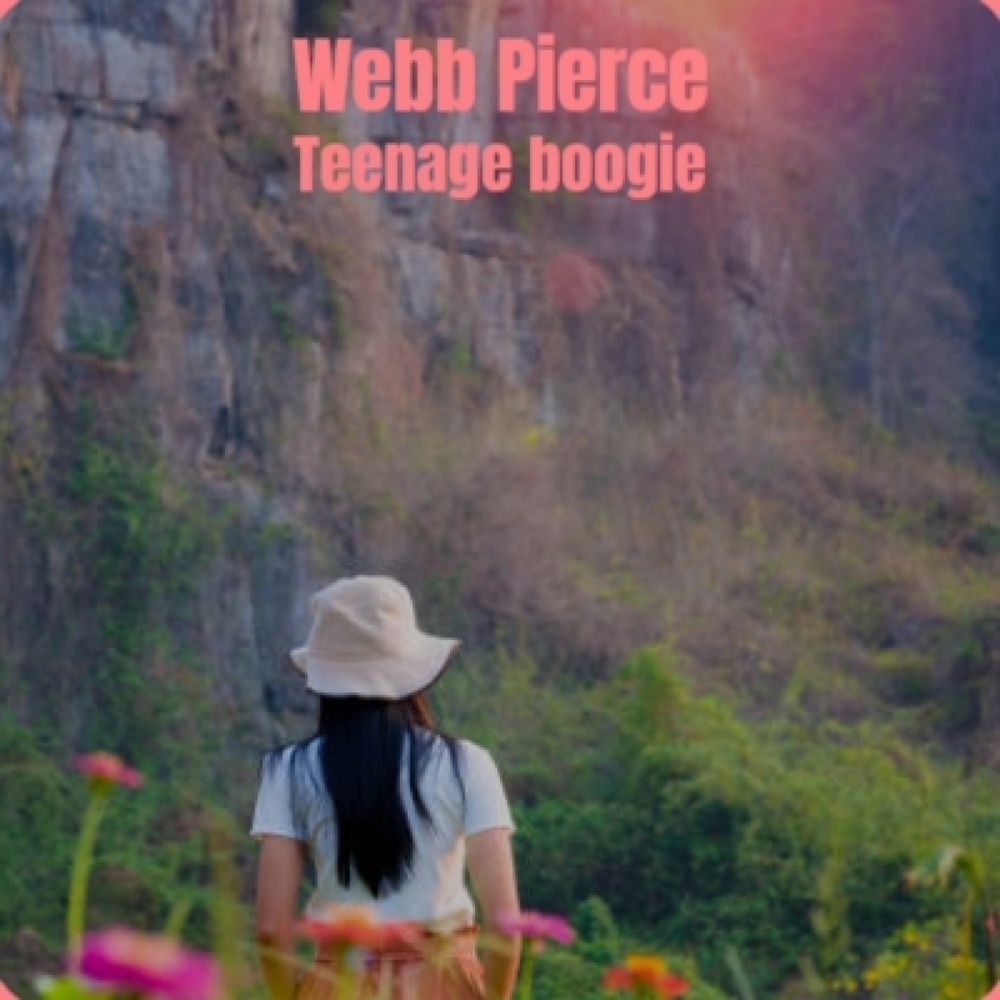 Webb Pierce   Teenage boogie