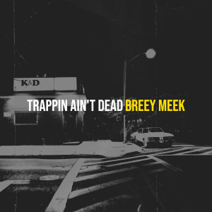 Dengarkan lagu For You (Explicit) nyanyian Breey Meek dengan lirik