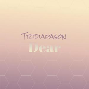 Listen to Hypothalamus Teen song with lyrics from MASRY