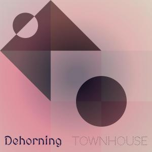 Various Artists的專輯Dehorning Townhouse