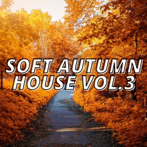 Various Artists的專輯Soft Autumn House Vol.3