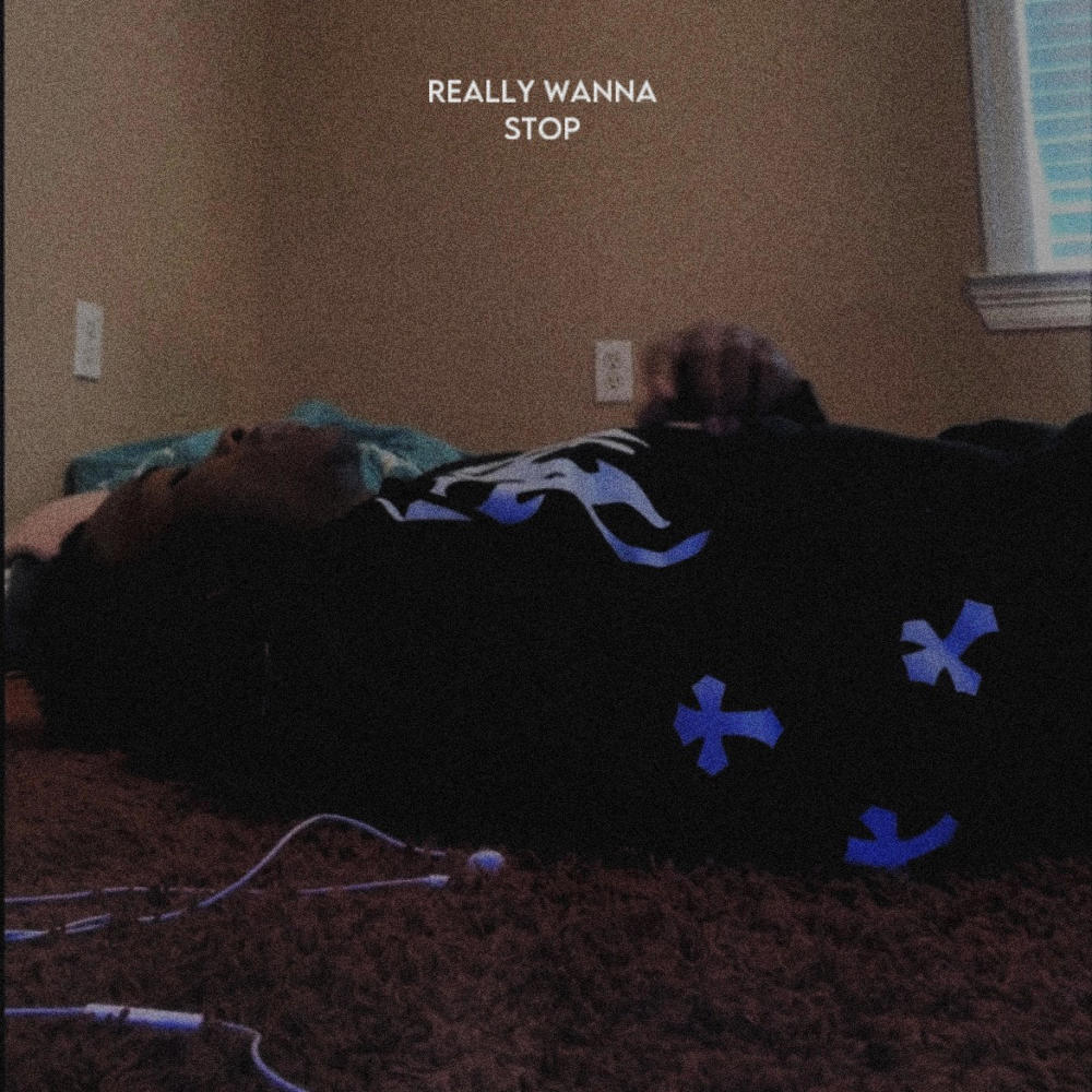 Really Wanna Stop (Explicit)