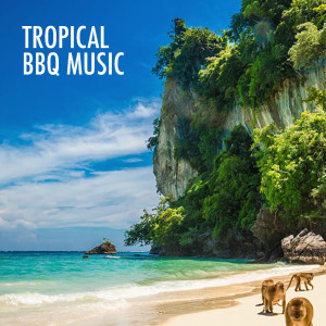 ดาวน์โหลดและฟังเพลง Torchlight พร้อมเนื้อเพลงจาก 101 Strings Orchestra