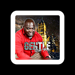 DJ SolsS的专辑Gentle Night Rain