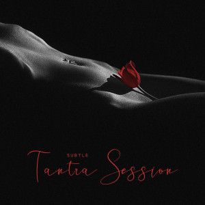 Album Subtle Tantra Session (Couple Therapy Music) from Erotic Music Zone