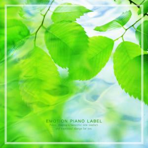 Various Artists的专辑New Year's Eve (Mother's Day Piano)