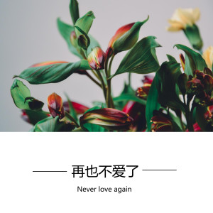 Listen to 再也不爱了 song with lyrics from 易欣