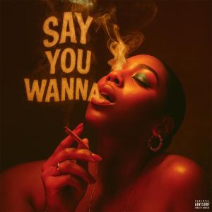 J Tenn的專輯Say You Wanna (feat. J’ Sean & VoyceSoLit) [Explicit]