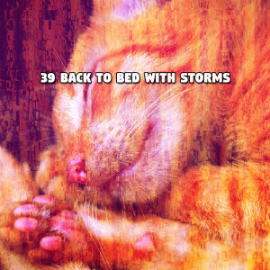 Album 39 Back To Bed With Storms from 