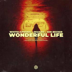 ดาวน์โหลดและฟังเพลง Wonderful Life พร้อมเนื้อเพลงจาก WhiteCapMusic