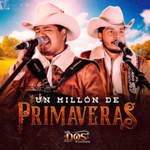 Listen to Un Millón De Primaveras (En Vivo) song with lyrics from LOS DOS DE TAMAULIPAS